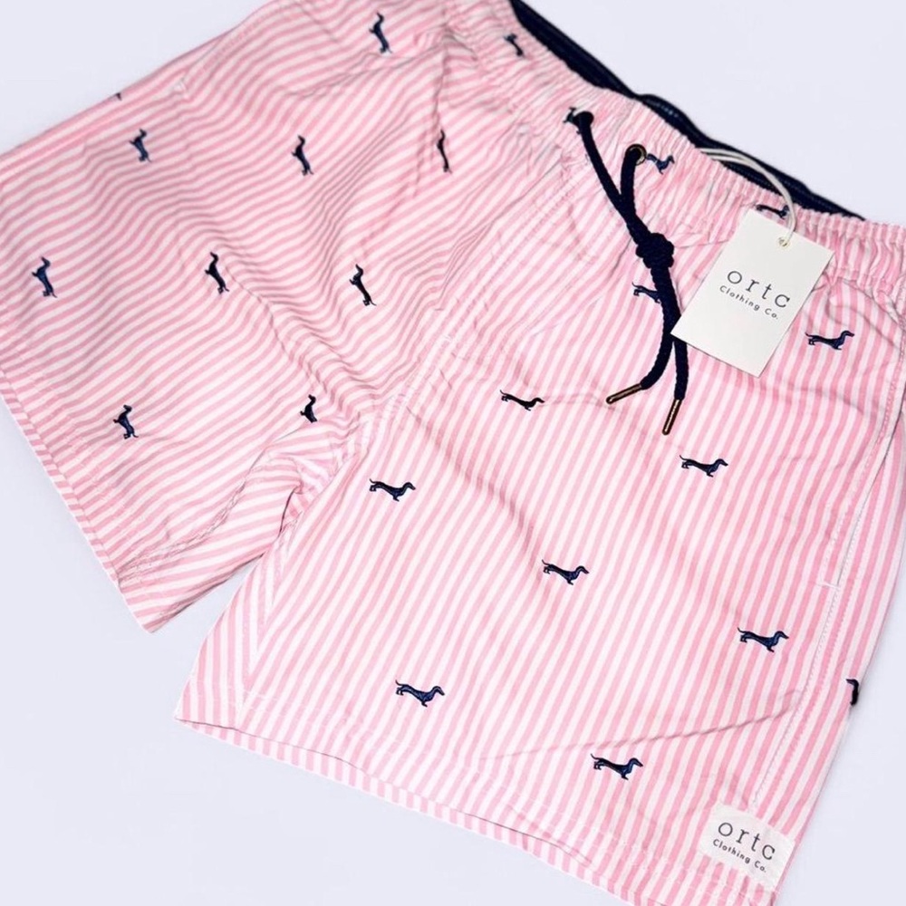 Dachshund Striped Men's Swim Shorts